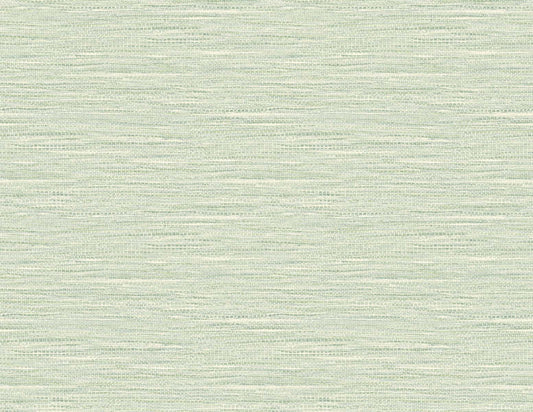 DuPont Tedlar Textures Braided Faux Jute Faux Grasscloth Contemporary Green Matte Sidewall - TG60408