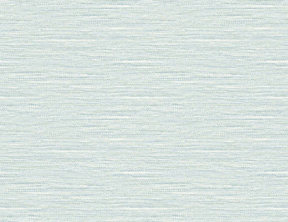 DuPont Tedlar Textures Braided Faux Jute Faux Grasscloth Contemporary Blue Matte  - TG60409