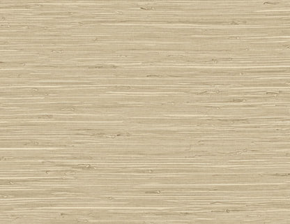 DuPont Tedlar Textures Marion Faux Arrowroot Faux Grasscloth Contemporary Brown Matte  - TG60516