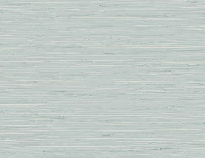 DuPont Tedlar Textures Marion Faux Arrowroot Faux Grasscloth Contemporary Blue Matte  - TG60519