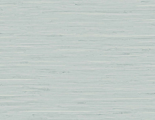 DuPont Tedlar Textures Marion Faux Arrowroot Faux Grasscloth Contemporary Blue Matte Sidewall - TG60519