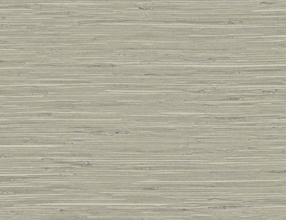 DuPont Tedlar Textures Marion Faux Arrowroot Faux Grasscloth Contemporary Grey Matte  - TG60529