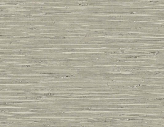 DuPont Tedlar Textures Marion Faux Arrowroot Faux Grasscloth Contemporary Grey Matte Sidewall - TG60529