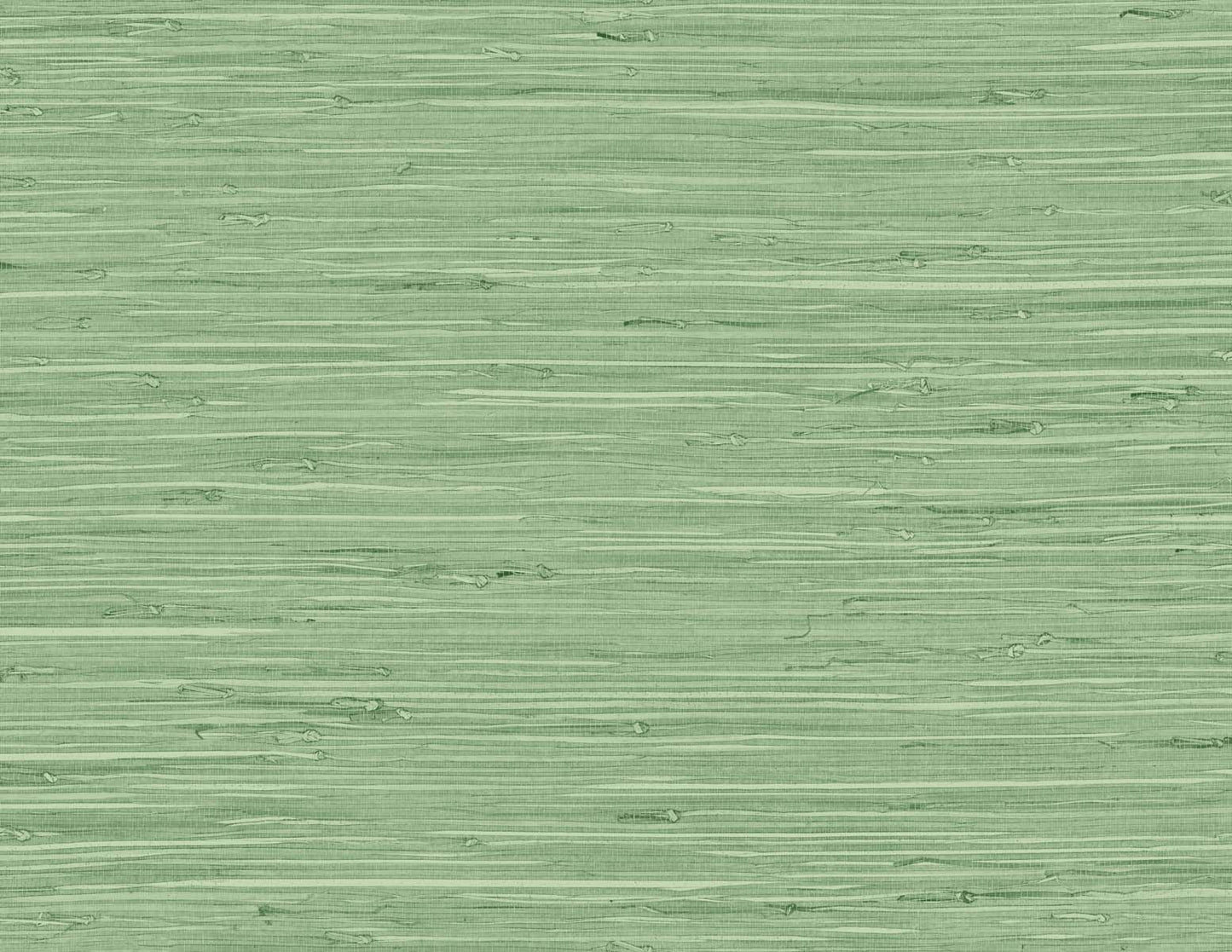 DuPont Tedlar Textures Marion Faux Arrowroot Faux Grasscloth Contemporary Green Matte Sidewall - TG60534