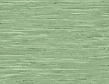 DuPont Tedlar Textures Marion Faux Arrowroot Faux Grasscloth Contemporary Green Matte  - TG60534