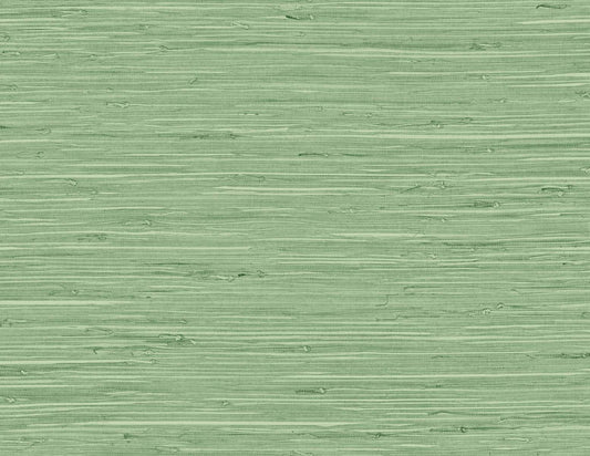 DuPont Tedlar Textures Marion Faux Arrowroot Faux Grasscloth Contemporary Green Matte Sidewall - TG60534