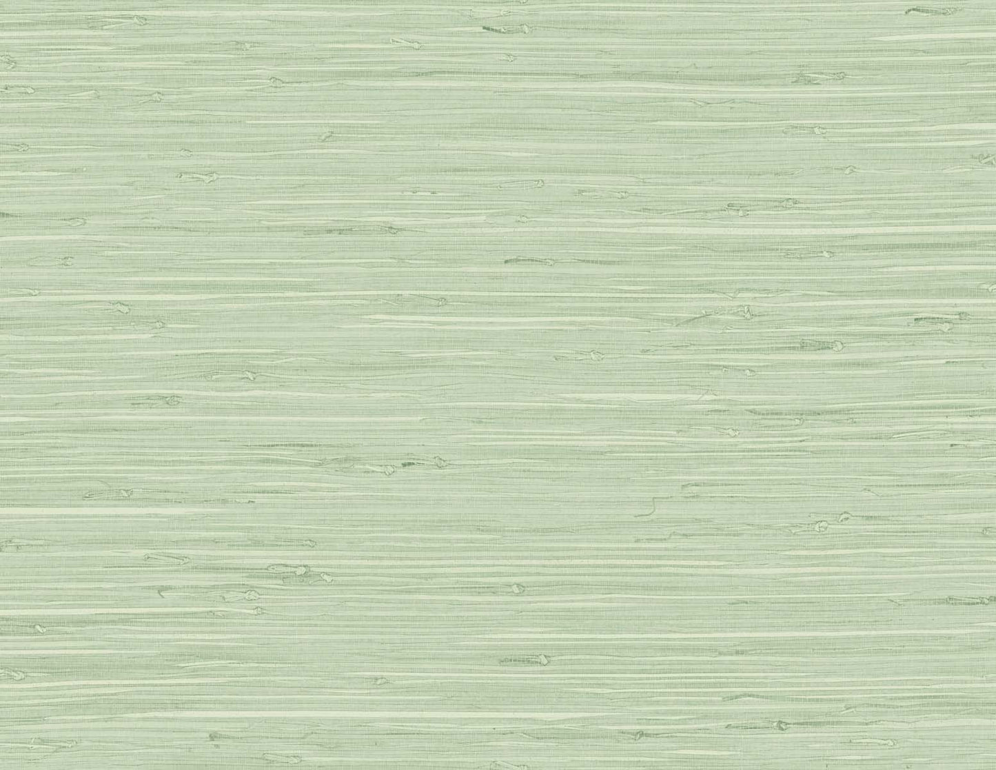 DuPont Tedlar Textures Marion Faux Arrowroot Faux Grasscloth Contemporary Green Matte Sidewall - TG60535