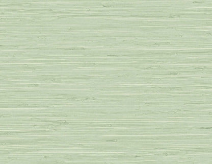 DuPont Tedlar Textures Marion Faux Arrowroot Faux Grasscloth Contemporary Green Matte  - TG60535