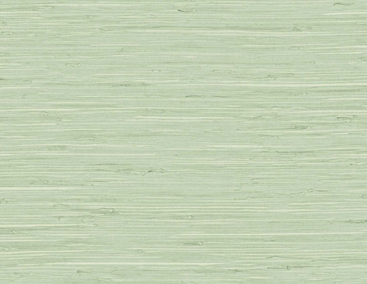 DuPont Tedlar Textures Marion Faux Arrowroot Faux Grasscloth Contemporary Green Matte Sidewall - TG60535