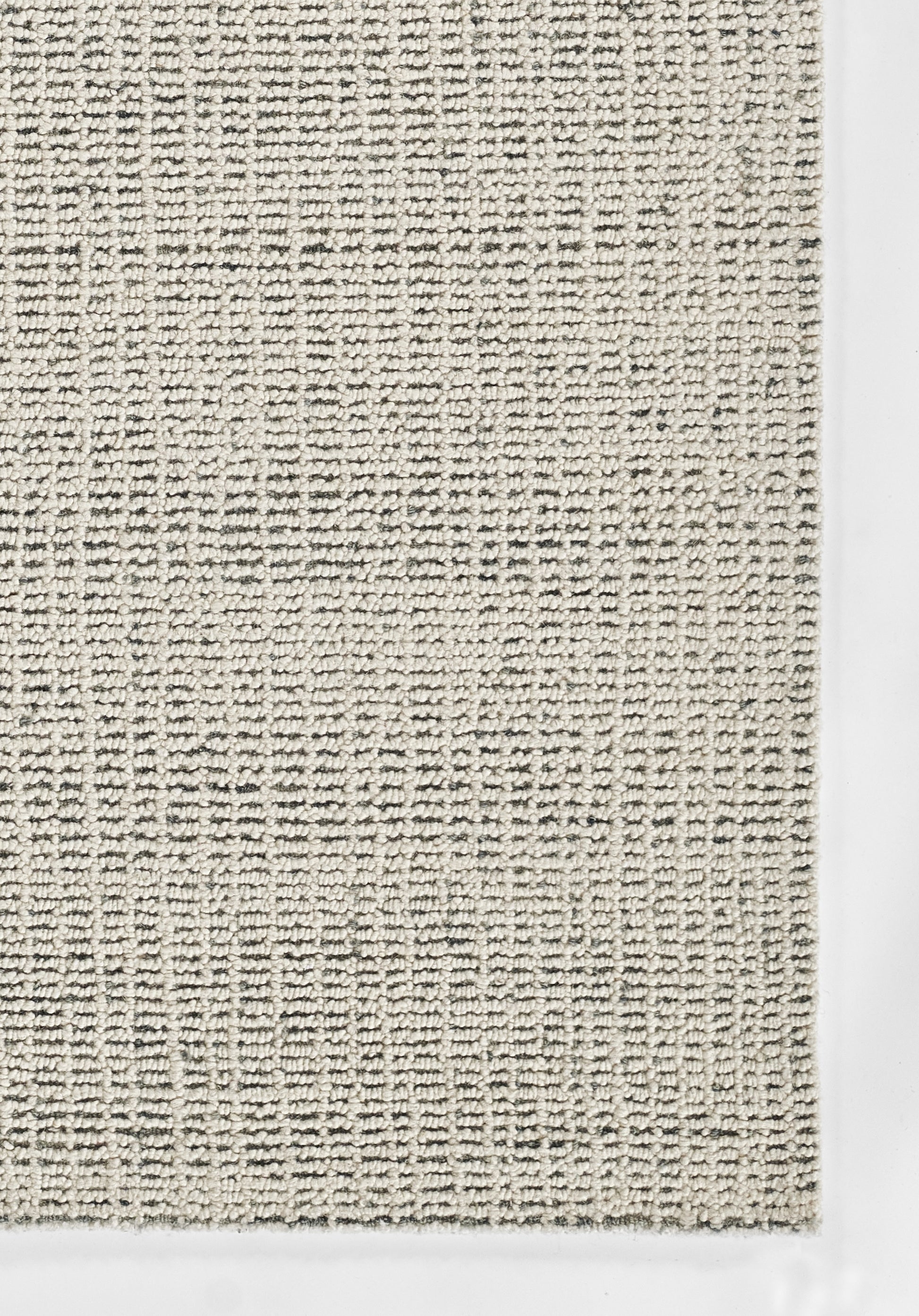 Beige woven rug close-up with loop pile texture, natural fiber look and pale border.