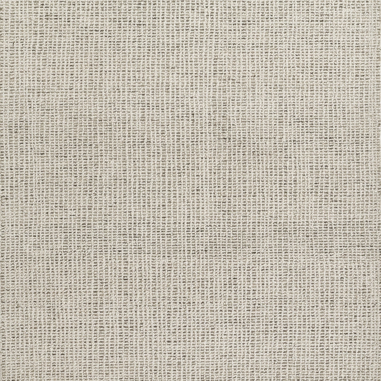 Beige-gray woven rug with a linen-like texture and rustic burlap-like weave.