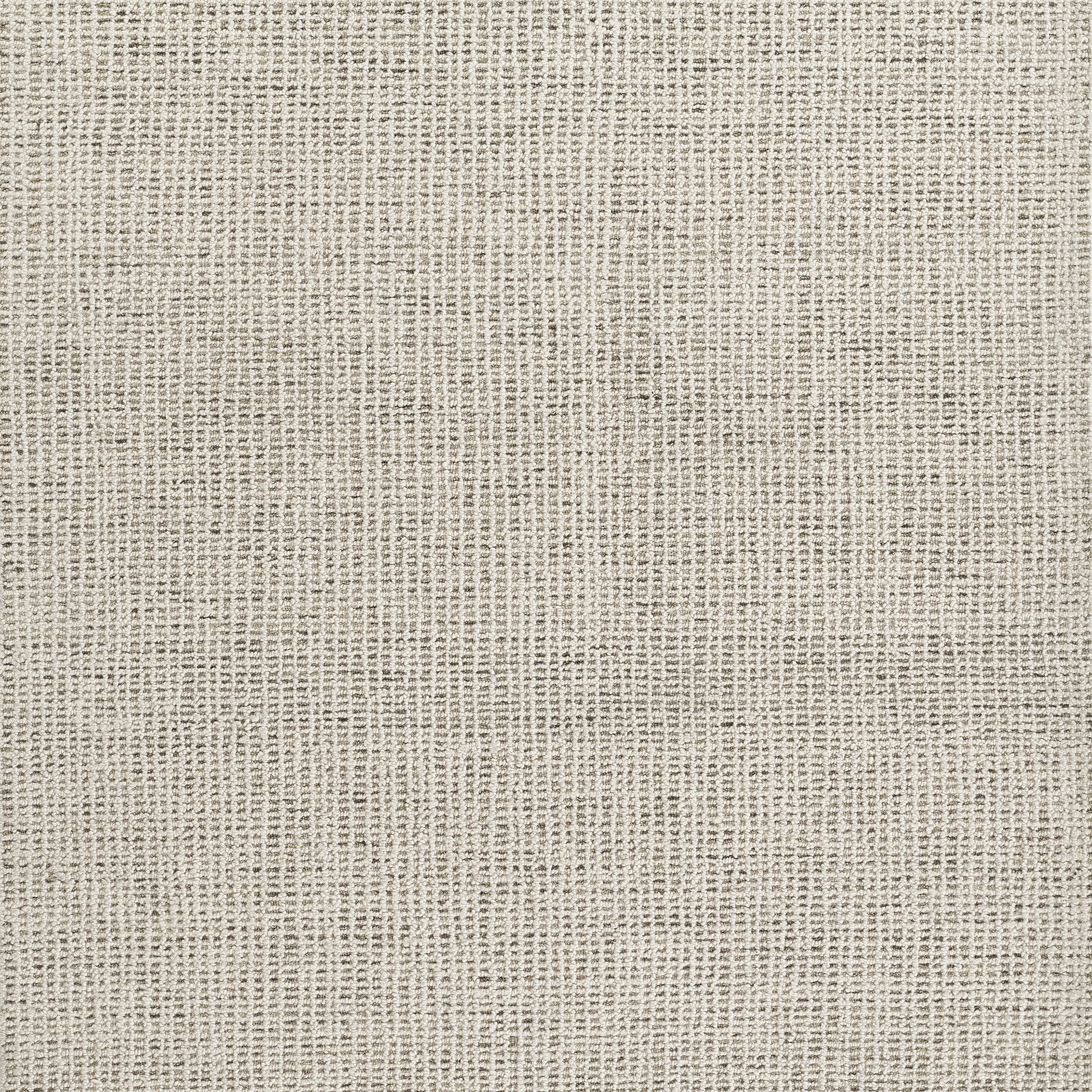 Beige-gray woven rug with a linen-like texture and rustic burlap-like weave.