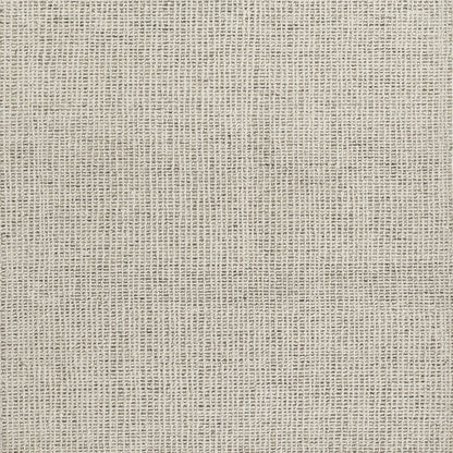 Beige-gray woven rug with a linen-like texture and rustic burlap-like weave.