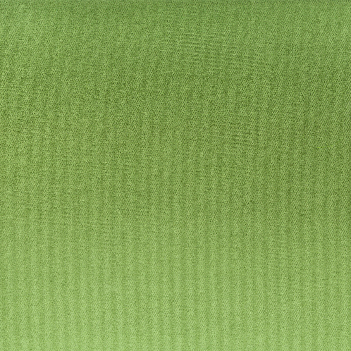 STOUT TEXTILES  MULTIPURPOSE,VELVET TRADITIONAL, SOLID BASIL   - TINK-2