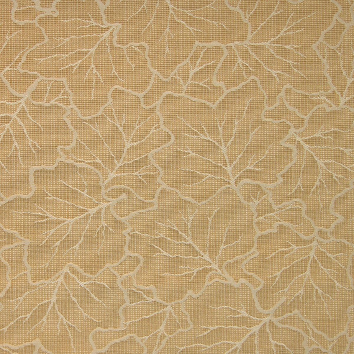 SCALAMANDRE OUTLET  FABRIC MAPLEWOOD  FABRIC GOLD   - TI 00021990