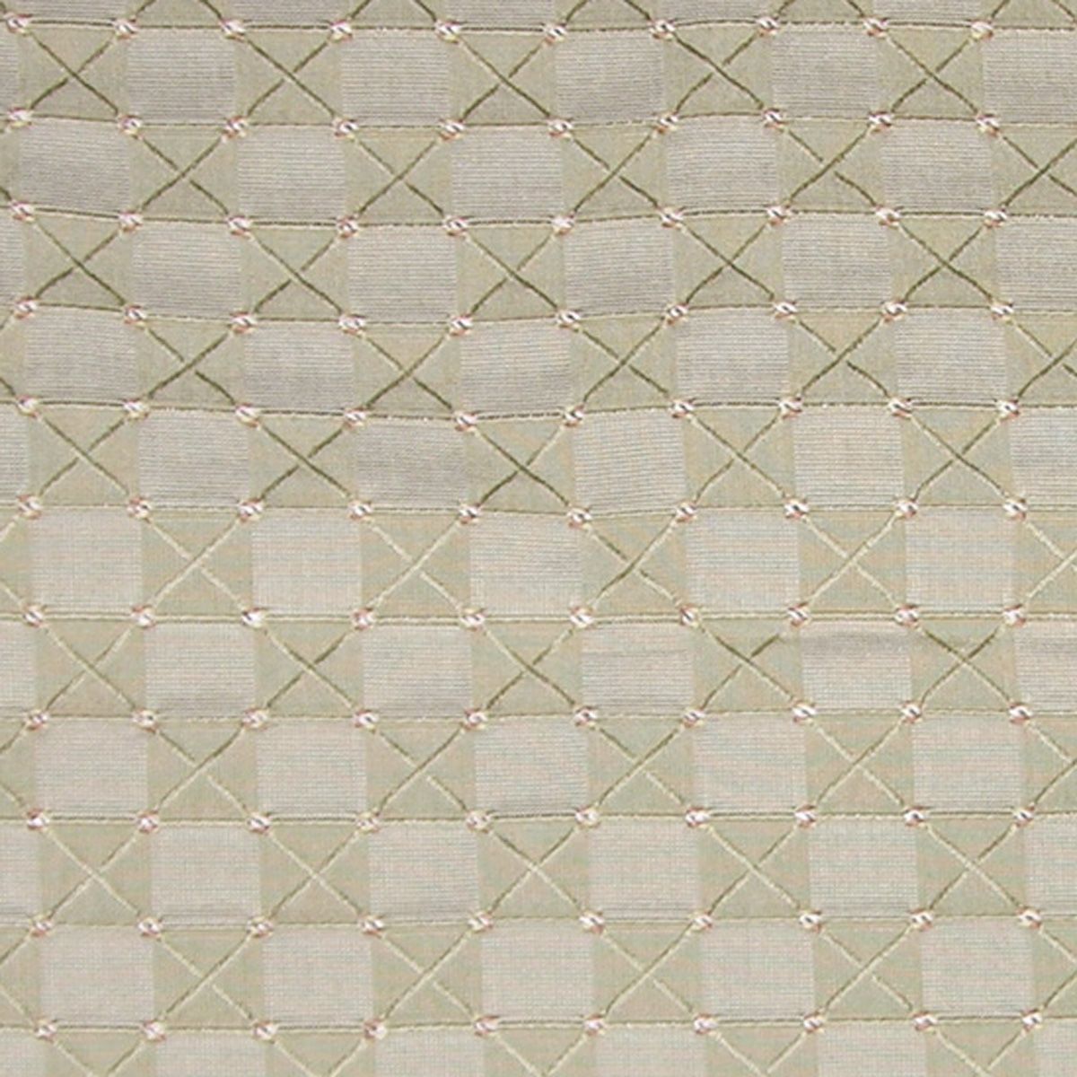 SCALAMANDRE OUTLET  FABRIC ALL SQUARE  FABRIC FERN   - TI 00042987