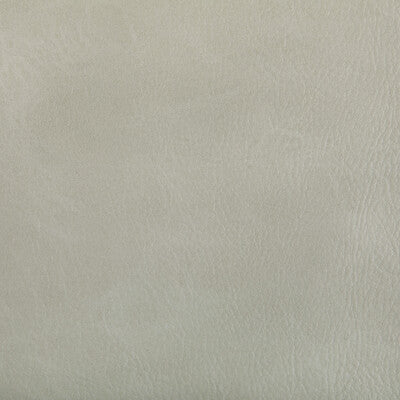 KRAVET CONTRACT VINYL/FAUX LEATHER SOLID WHITE,WHITE,WHITE   - TONI.101.0