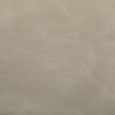 KRAVET CONTRACT VINYL/FAUX LEATHER SOLID TAUPE,TAUPE,BEIGE   - TONI.106.0