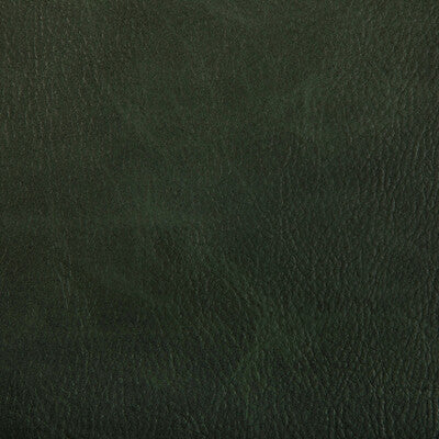 KRAVET CONTRACT VINYL/FAUX LEATHER SOLID GREEN,GREEN,GREEN   - TONI.303.0