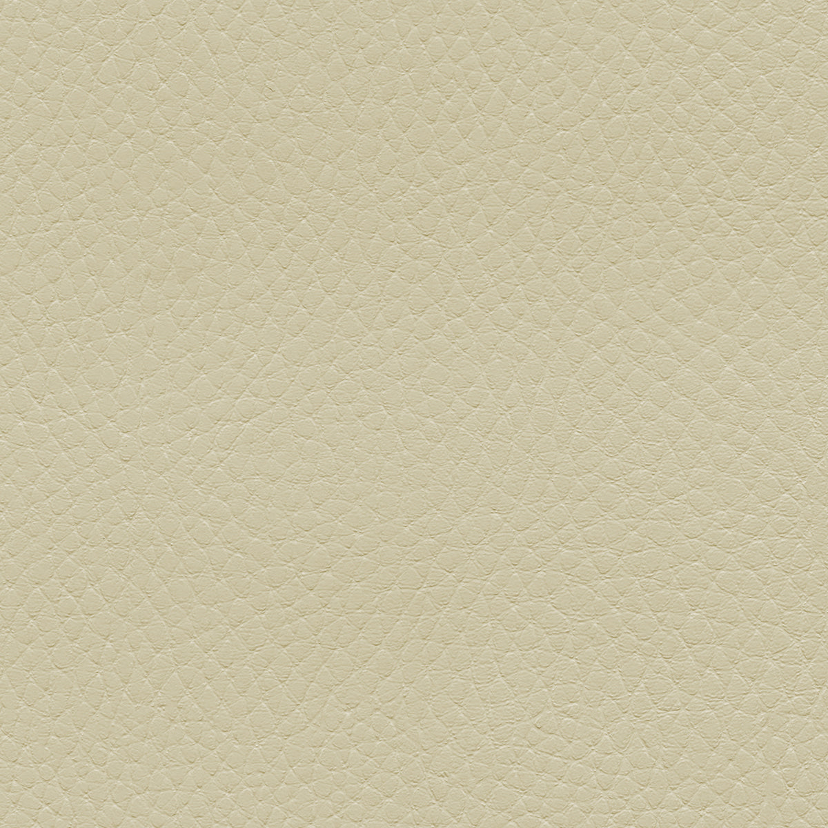 NICHOLASJOHN INC NJ-TATTA Cream    Fabric - NJ25-3425