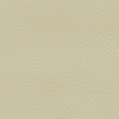 NICHOLASJOHN INC NJ-TATTA Cream    Fabric - NJ25-3425