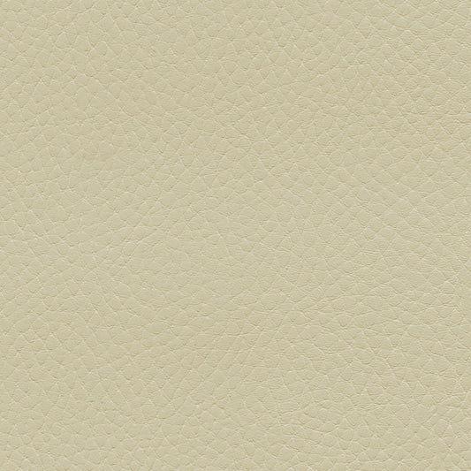 NICHOLASJOHN INC NJ-TATTA Cream    Fabric - NJ25-3425