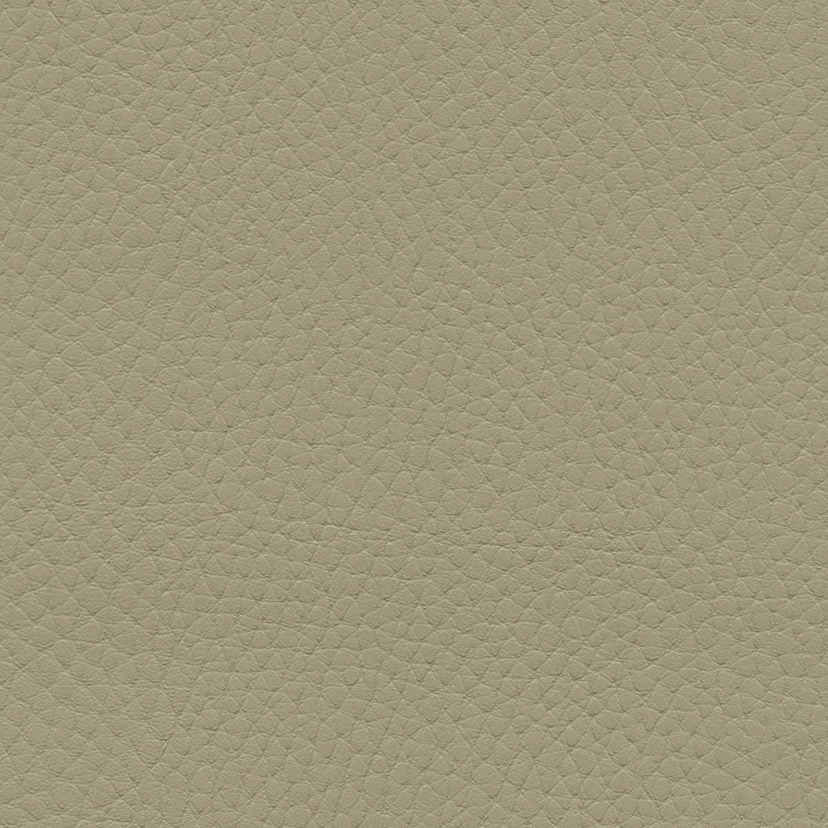 NICHOLASJOHN INC NJ-TATTA Gray    Fabric - NJ25-3426