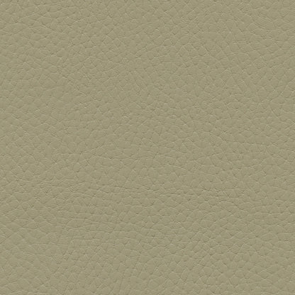 NICHOLASJOHN INC NJ-TATTA Gray    Fabric - NJ25-3426