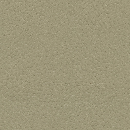 NICHOLASJOHN INC NJ-TATTA Gray    Fabric - NJ25-3426