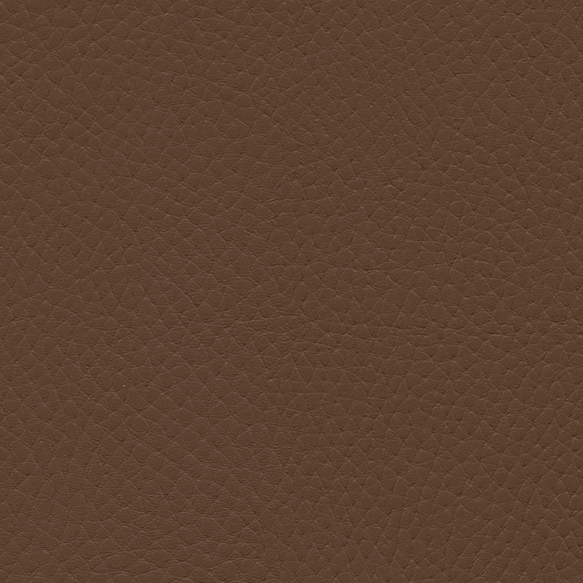 NICHOLASJOHN INC NJ-TATTA Brown    Fabric - NJ25-3428