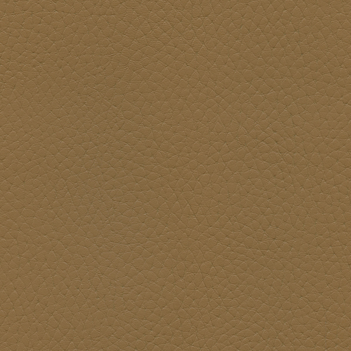 NICHOLASJOHN INC NJ-TATTA Brown    Fabric - NJ25-3429