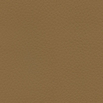 NICHOLASJOHN INC NJ-TATTA Brown    Fabric - NJ25-3429