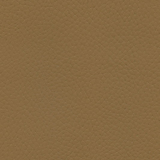 NICHOLASJOHN INC NJ-TATTA Brown    Fabric - NJ25-3429