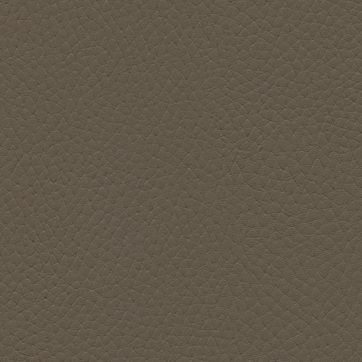 NICHOLASJOHN INC NJ-TATTA Brown    Fabric - NJ25-3430