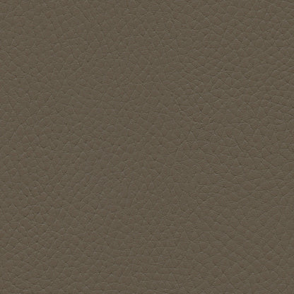 NICHOLASJOHN INC NJ-TATTA Brown    Fabric - NJ25-3430