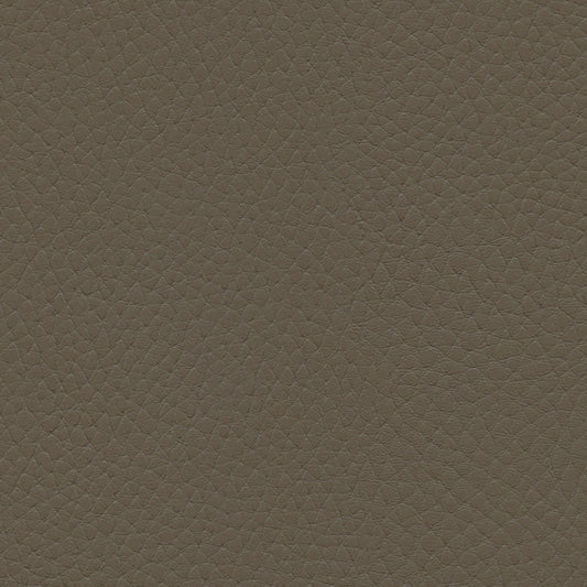 NICHOLASJOHN INC NJ-TATTA Brown    Fabric - NJ25-3430