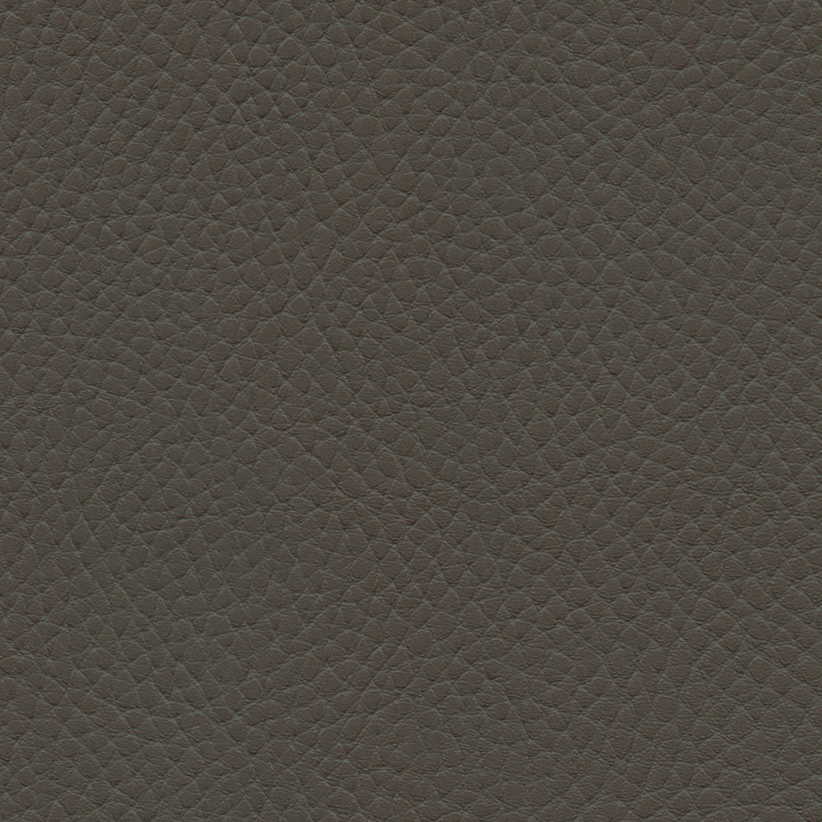NICHOLASJOHN INC NJ-TATTA Gray    Fabric - NJ25-3431