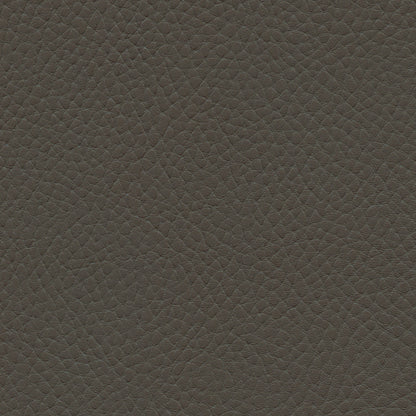 NICHOLASJOHN INC NJ-TATTA Gray    Fabric - NJ25-3431