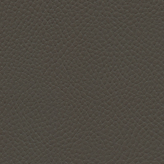 NICHOLASJOHN INC NJ-TATTA Gray    Fabric - NJ25-3431