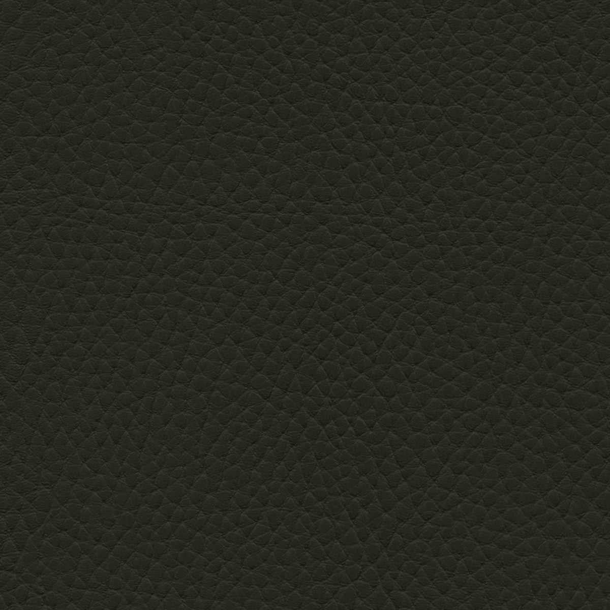 NICHOLASJOHN INC NJ-TATTA Charcoal Lichen    Fabric - NJ25-3433