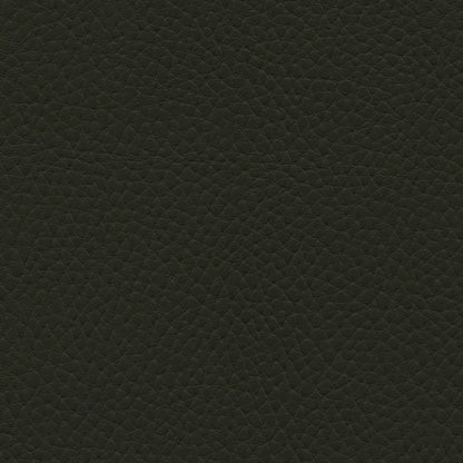 NICHOLASJOHN INC NJ-TATTA Charcoal Lichen    Fabric - NJ25-3433