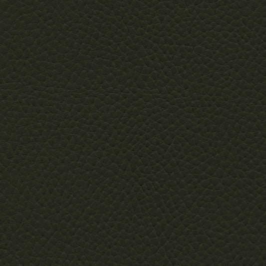 NICHOLASJOHN INC NJ-TATTA Charcoal Lichen    Fabric - NJ25-3433