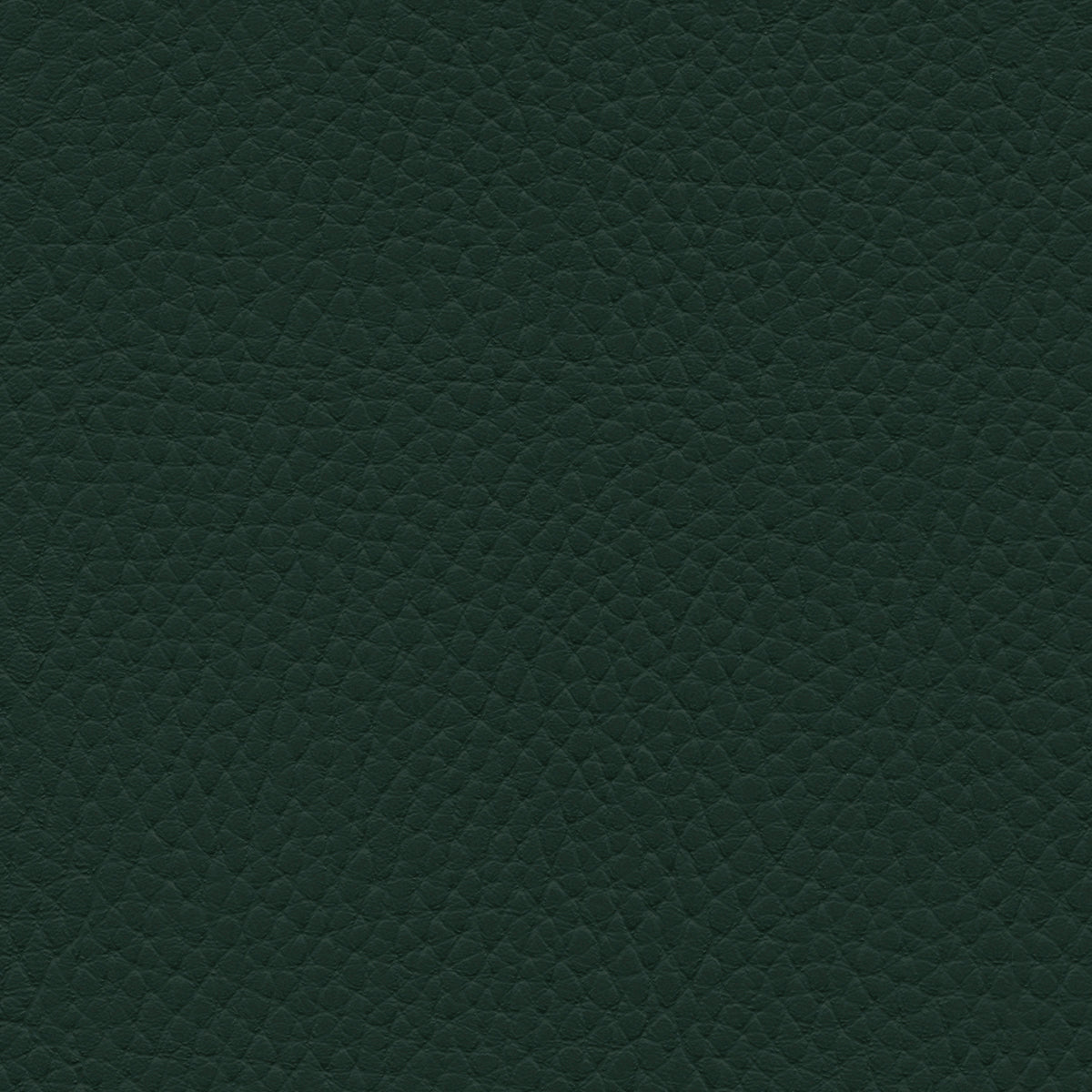 NICHOLASJOHN INC NJ-TATTA Green    Fabric - NJ25-3434