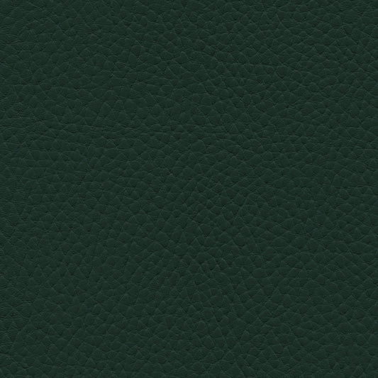 NICHOLASJOHN INC NJ-TATTA Green    Fabric - NJ25-3434