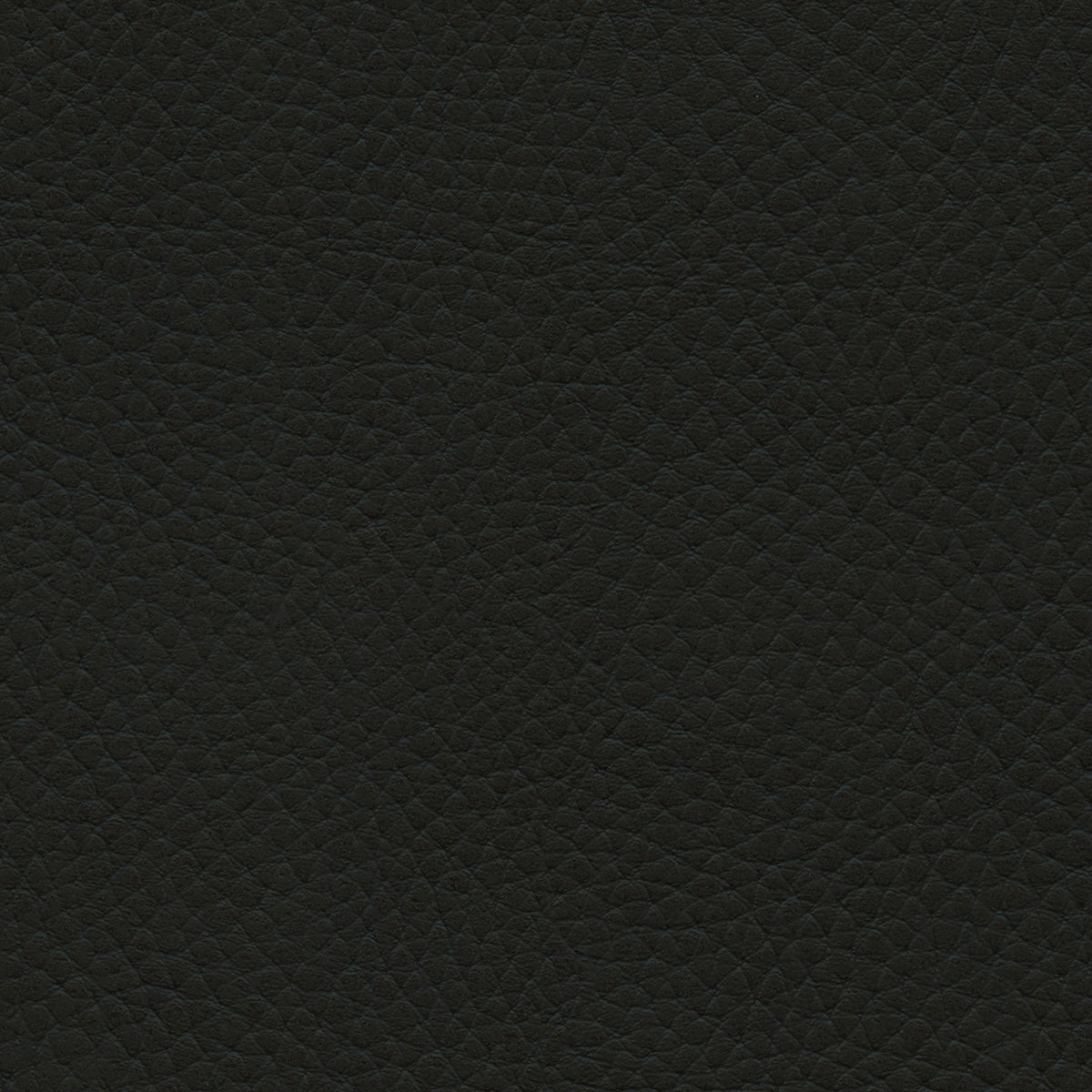 NICHOLASJOHN INC NJ-TATTA Black    Fabric - NJ25-3435