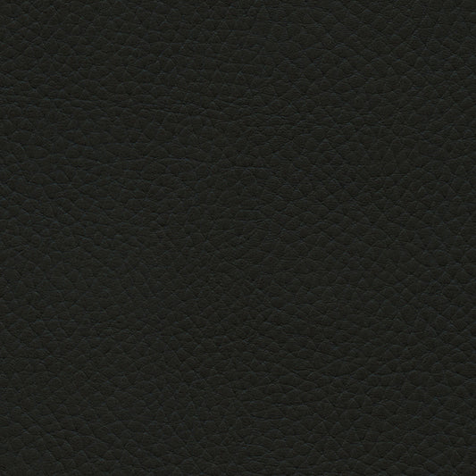 NICHOLASJOHN INC NJ-TATTA Black    Fabric - NJ25-3435