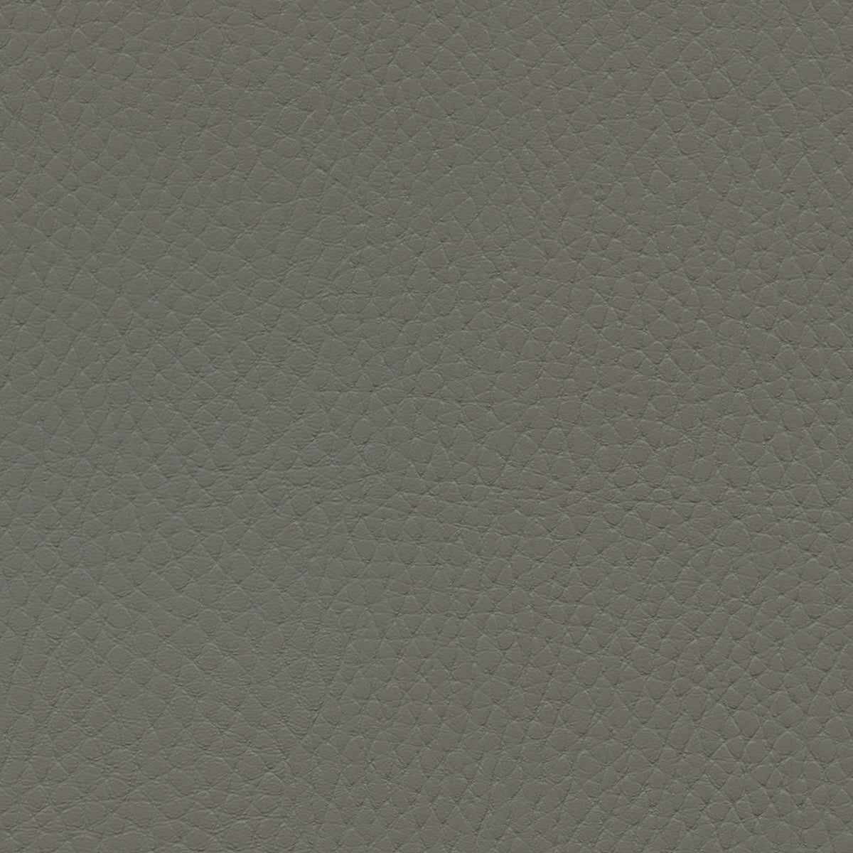 NICHOLASJOHN INC NJ-TATTA Gray    Fabric - NJ25-3436