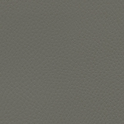 NICHOLASJOHN INC NJ-TATTA Gray    Fabric - NJ25-3436