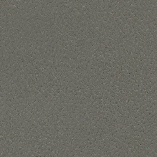 NICHOLASJOHN INC NJ-TATTA Gray    Fabric - NJ25-3436