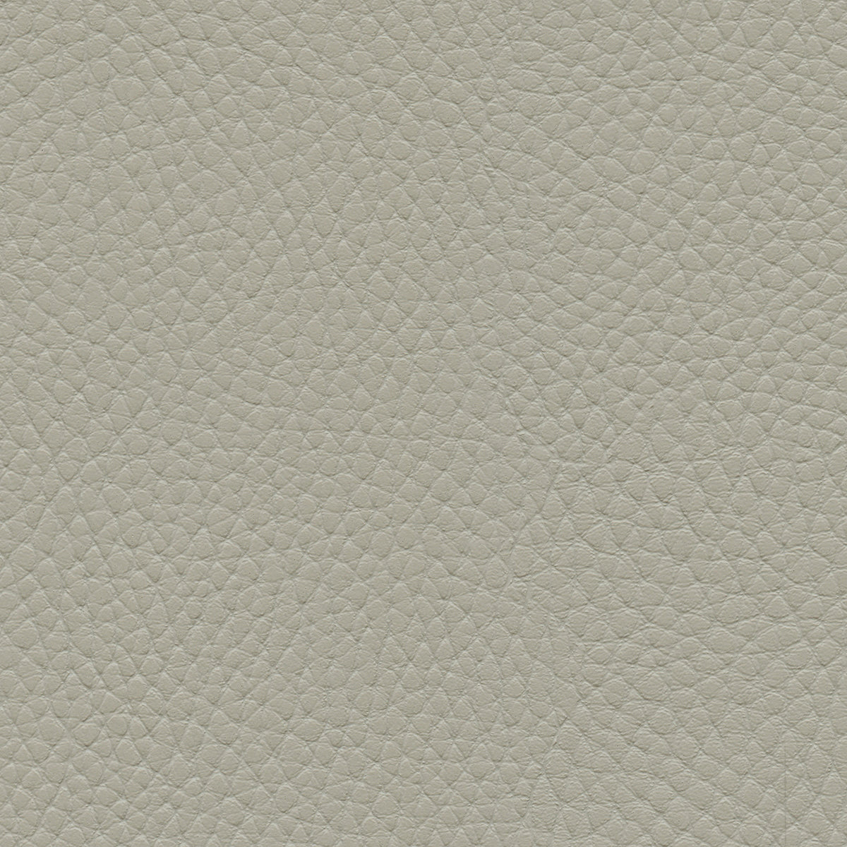 NICHOLASJOHN INC NJ-TATTA Gray    Fabric - NJ25-3438